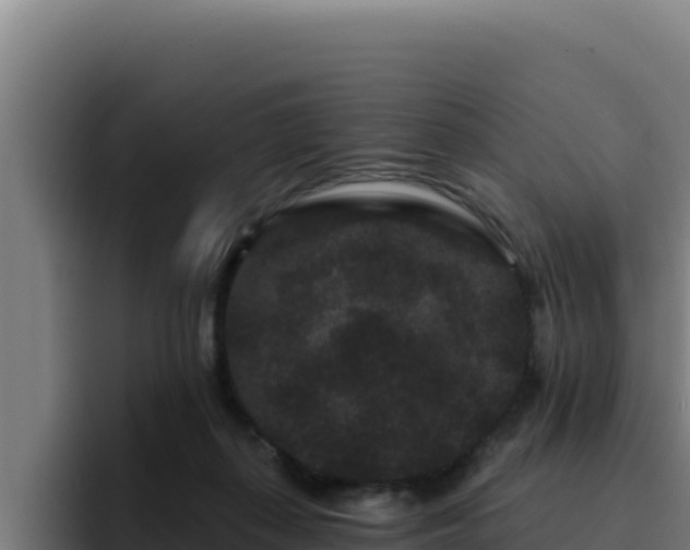 X0000094960267200712061317