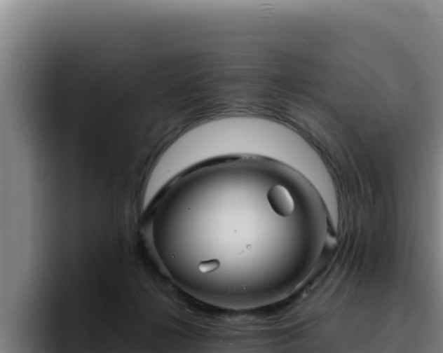 X0000094960268200712061317