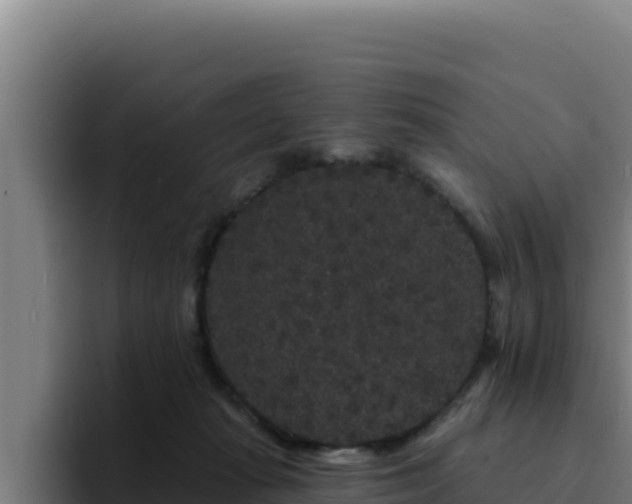 X0000094960269200712061317