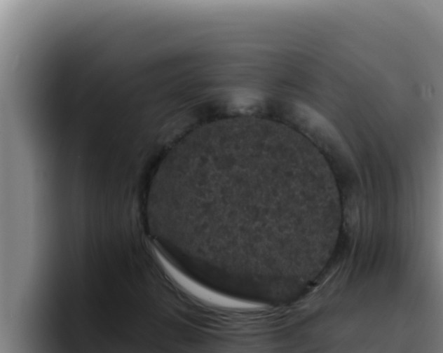 X0000094960270200712061317