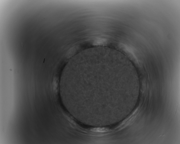 X0000094960273200712061317