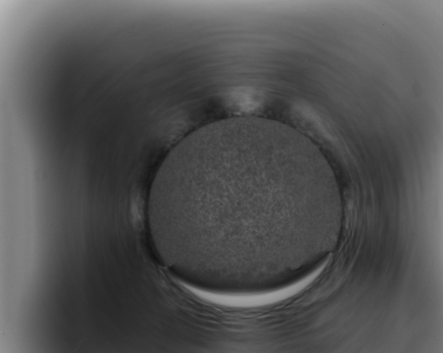 X0000094960274200712061317