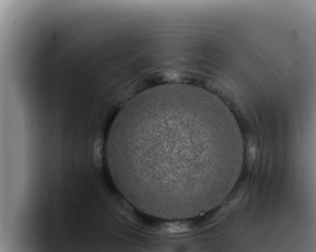 X0000094960275200712061317