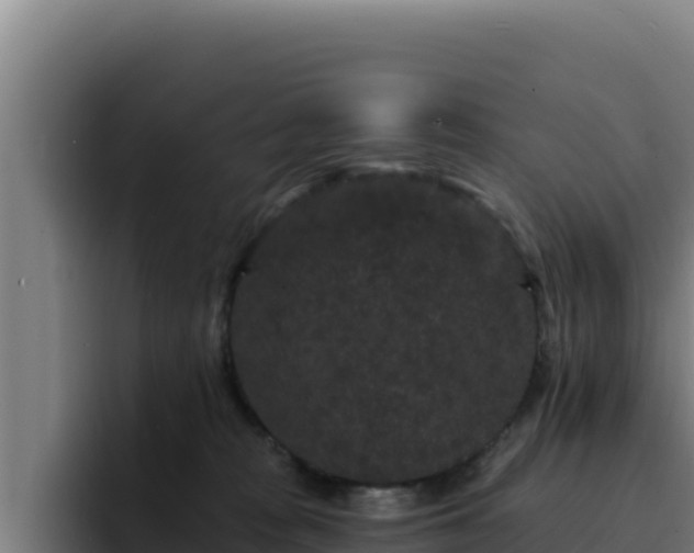 X0000094960277200712061317