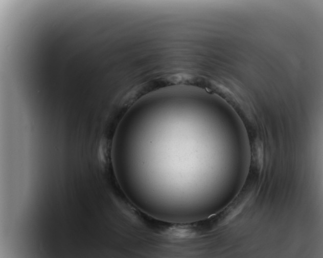 X0000094960280200712061318