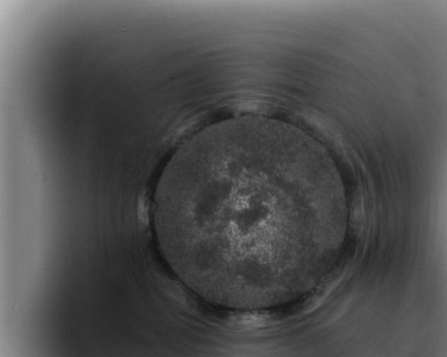 X0000094960282200712061318