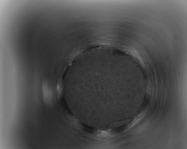 X0000094960285200712061318