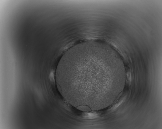 X0000094960286200712061318