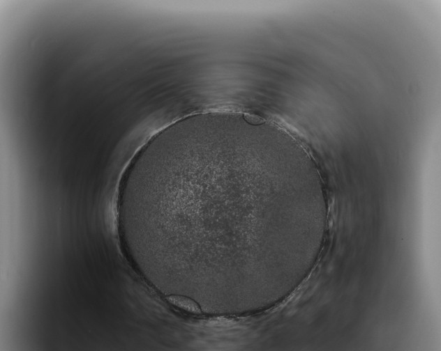 X0000094960290200712061317