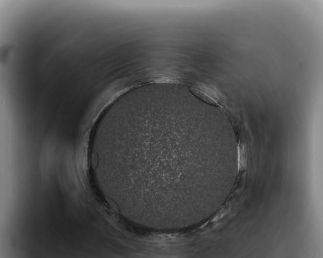 X0000094960291200712061317