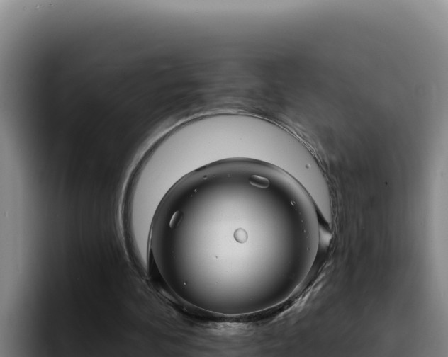 X0000094960292200712061317