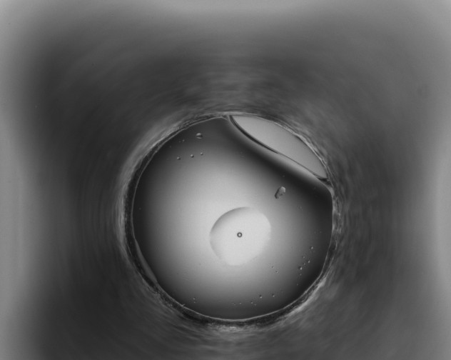 X0000094960293200712061317