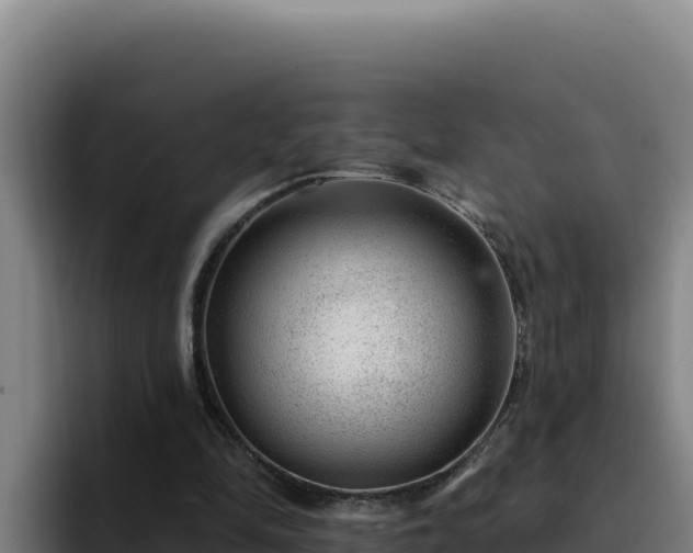 X0000094960294200712061317