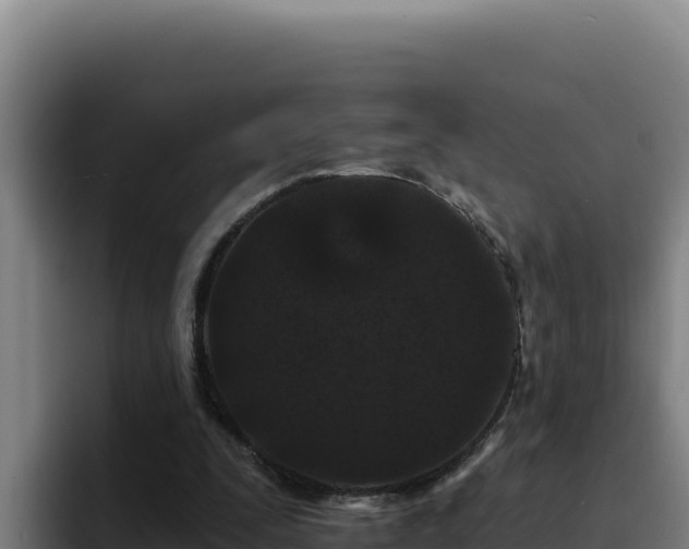 X0000094960295200712061317