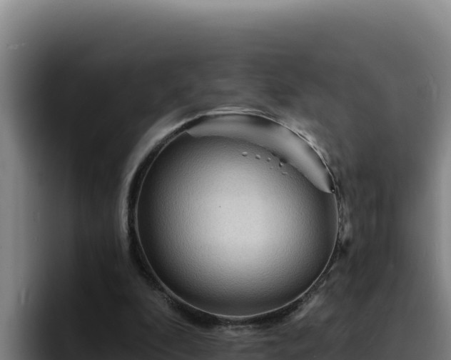 X0000094960296200712061317