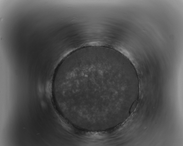 X0000094960297200712061317