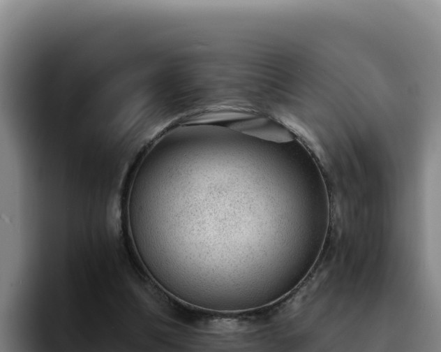 X0000094960298200712061317