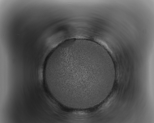 X0000094960299200712061317