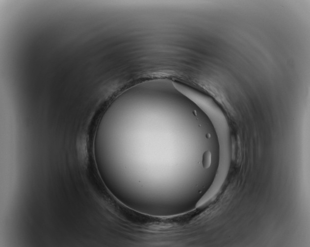 X0000094960300200712061317