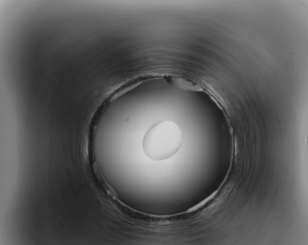 X0000094960301200712061317