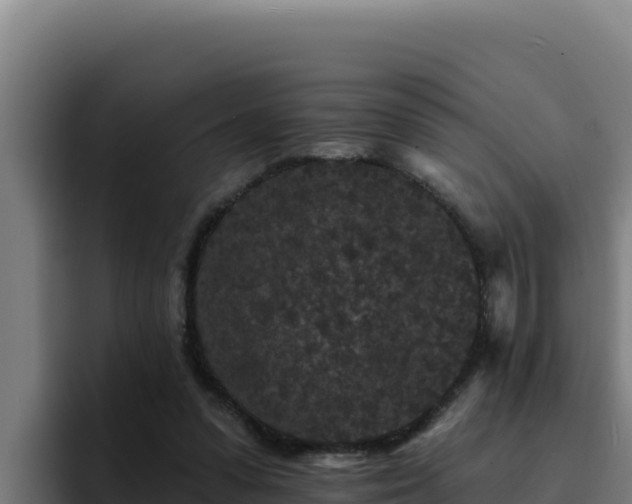 X0000094960303200712061317