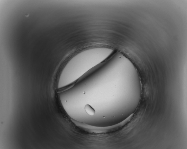 X0000094960304200712061317