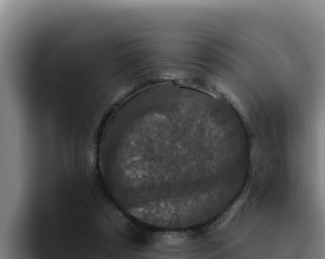 X0000094960305200712061317