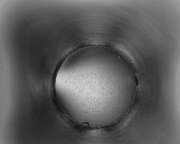 X0000094960306200712061317