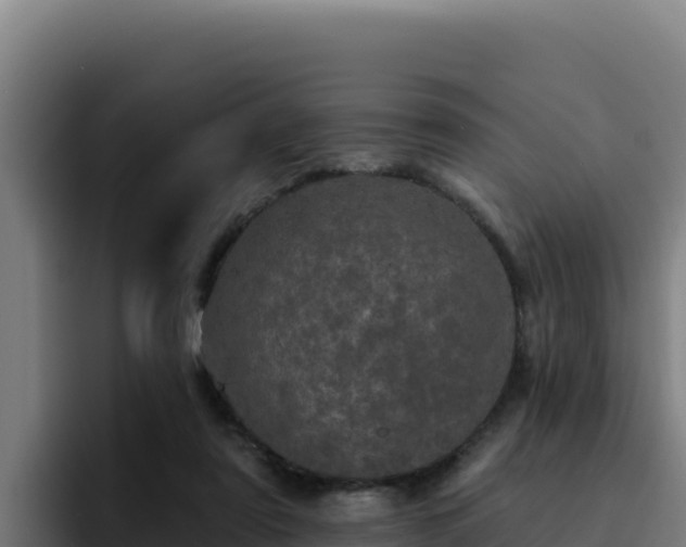 X0000094960307200712061317