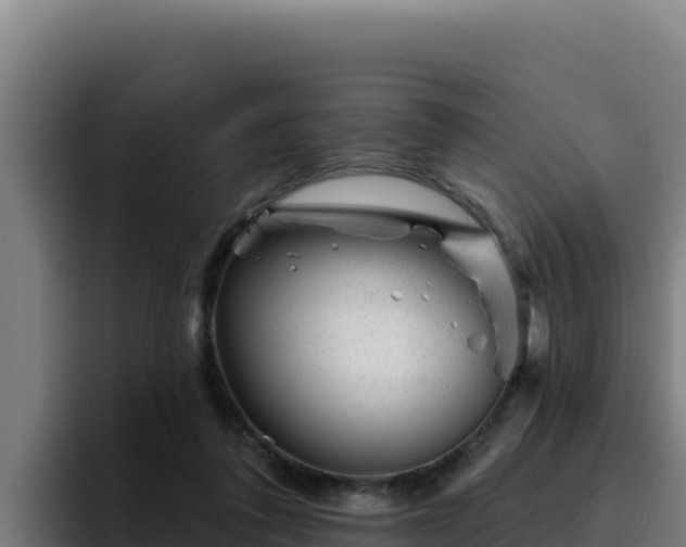 X0000094960308200712061317