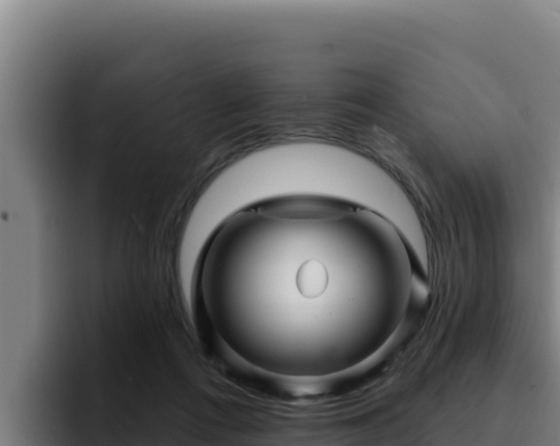 X0000094960312200712061317