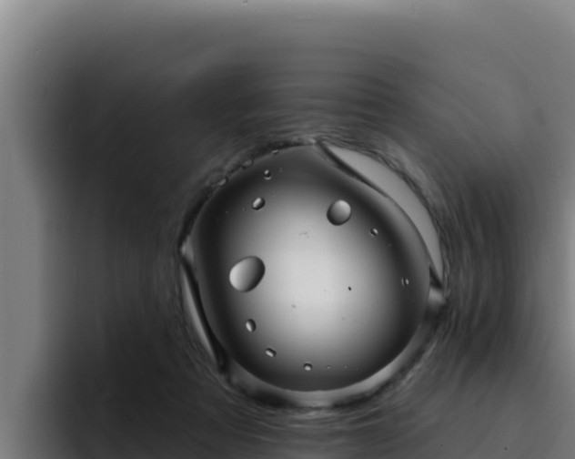 X0000094960313200712061317