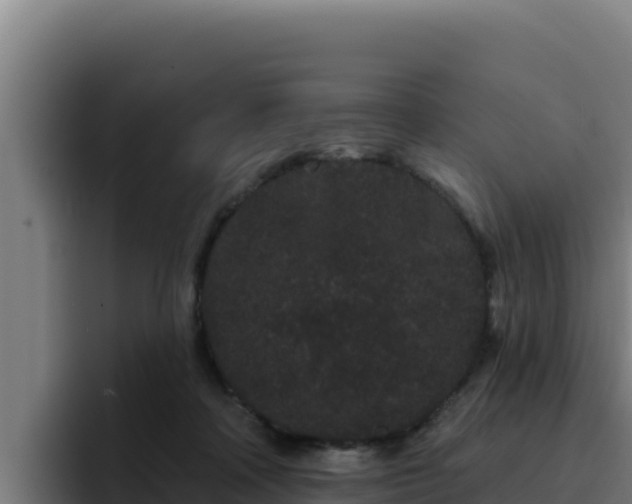 X0000094960314200712061317