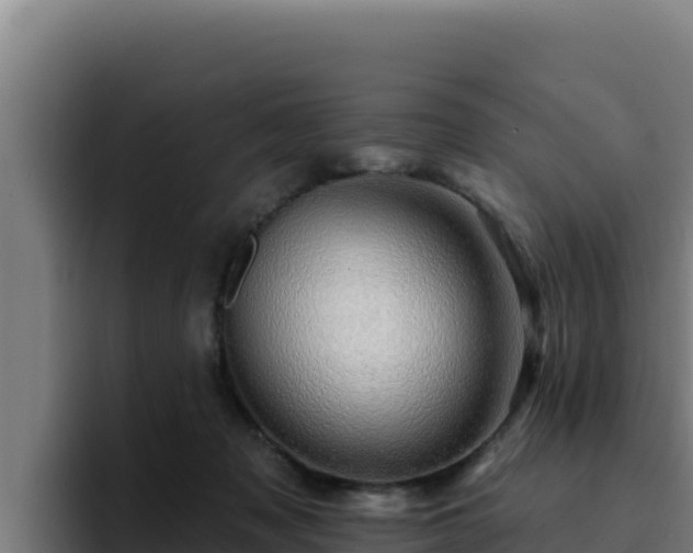 X0000094960317200712061317