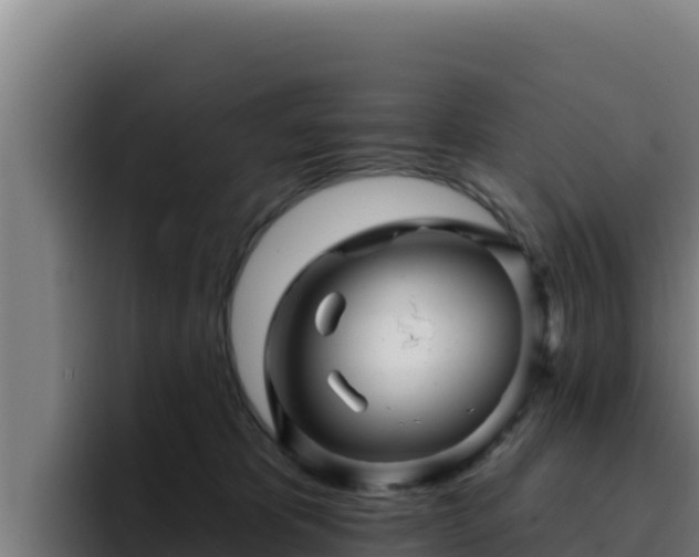 X0000094960325200712061317