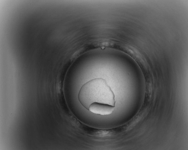 X0000094960326200712061317