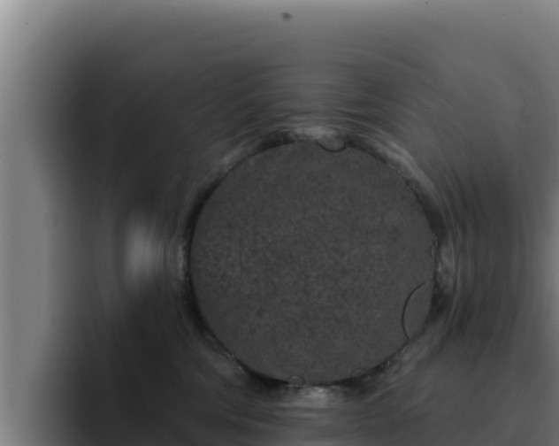 X0000094960330200712061316