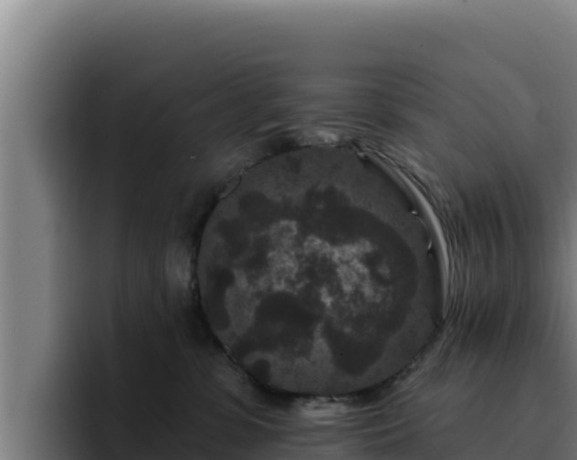 X0000094960331200712061316