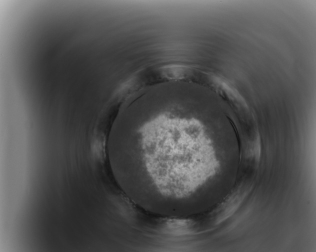 X0000094960332200712061316