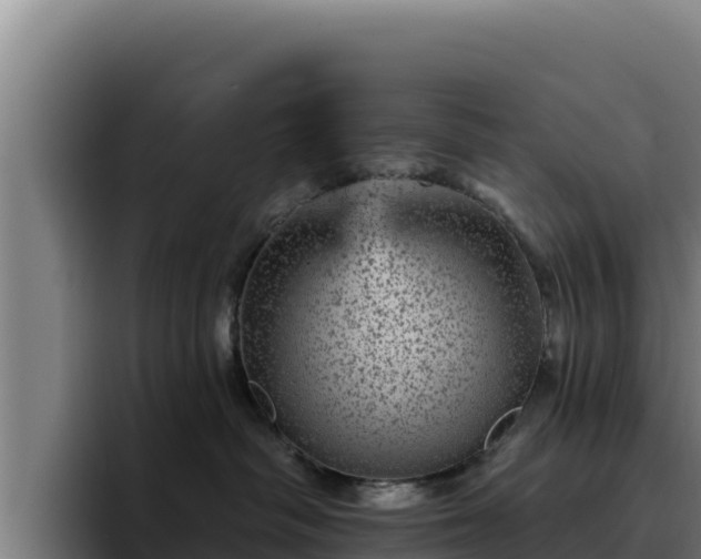 X0000094960334200712061316