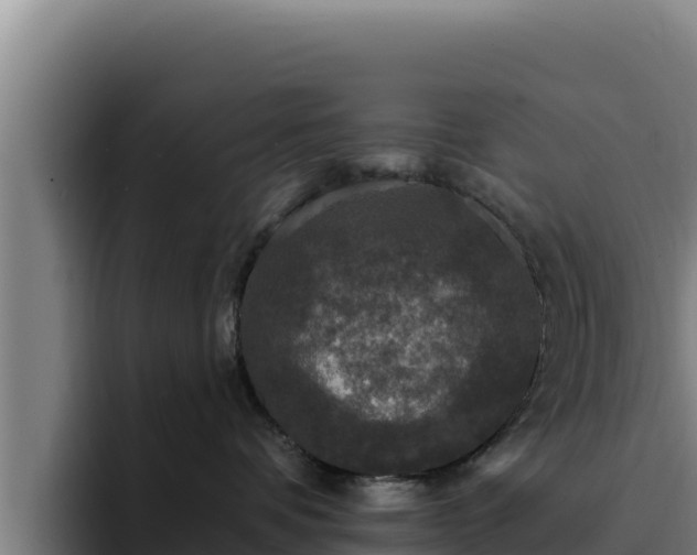 X0000094960336200712061316