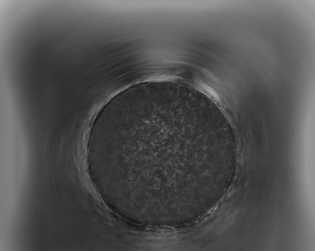 X0000094960337200712061316