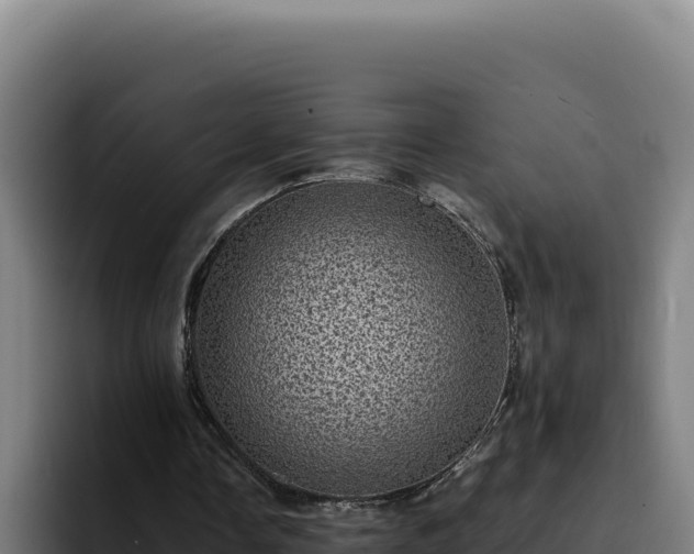 X0000094960338200712061316