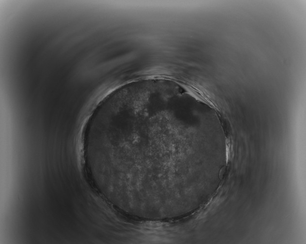 X0000094960339200712061316