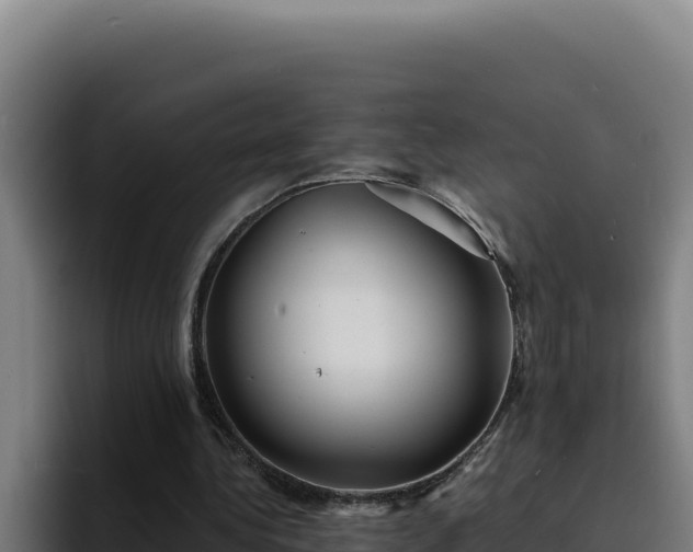 X0000094960340200712061316