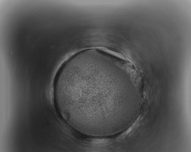 X0000094960342200712061316