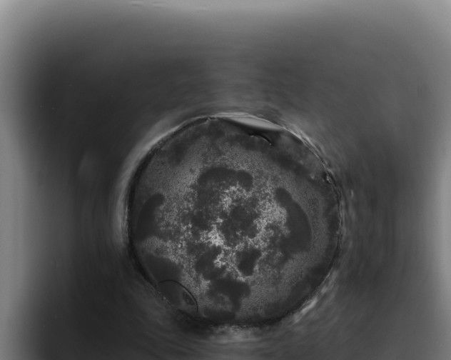 X0000094960343200712061316