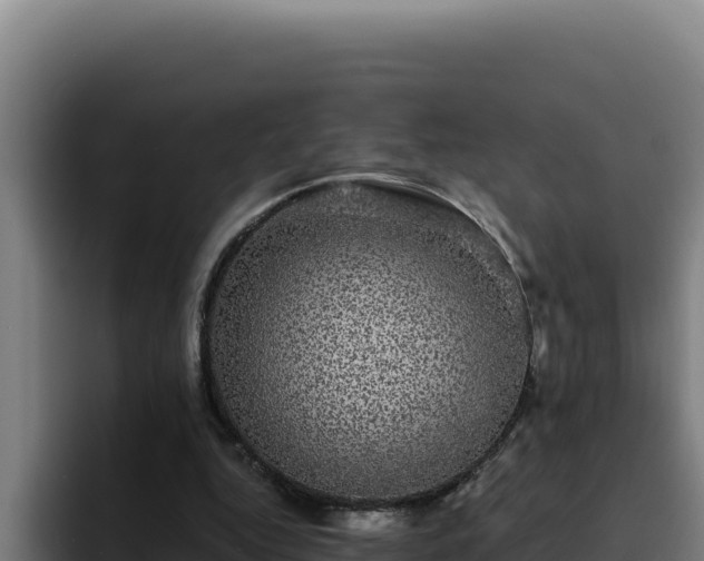 X0000094960344200712061316