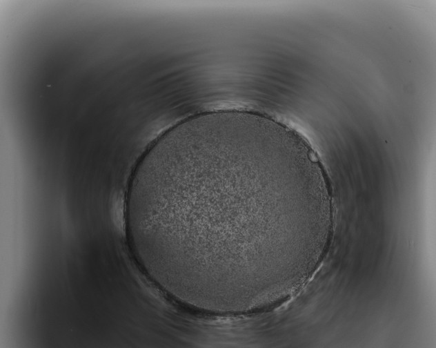 X0000094960345200712061316