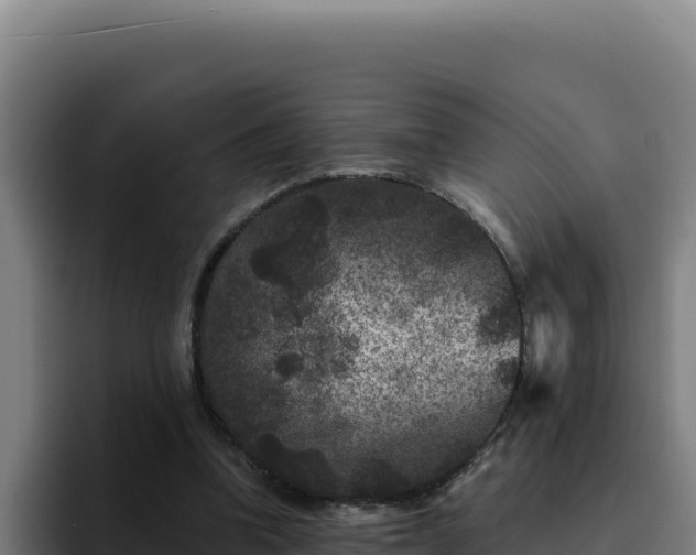 X0000094960346200712061316